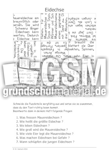 Eidechse.pdf